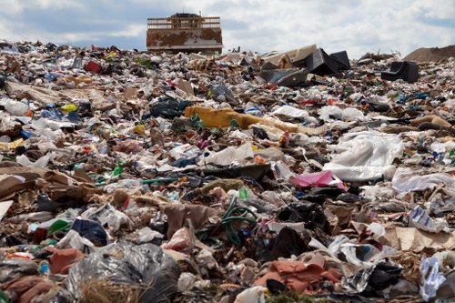 Professional waste clearance team at work